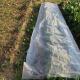 Mulching Film Agriculture Nonwoven Fabric PP Spunbond For  Flowers Tomatos
