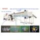 High speed full automatic ice lolly tube/bottle blowing machine