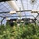 LED Lighting System Light Deprivation Greenhouse for Growing Crops
