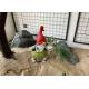 OEM / ODM Magnesium Oxide Garden Statue Gnome Riding On Turtle Statue