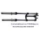 Motorcycle Suspension Front Fork Assembly WY125 Aftermarket Motorcycle Parts