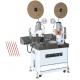 RS-01G Automatic Sevo Motor Double-Ends Crimping Machine With Cutting Stripping