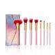 8 Pieces Travel Make Up Brush Set Pink With Rainbow Cosmetic Bag