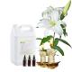 Lilies Perfume Candle Essential Oil Lilies Fragrance For Candle Making
