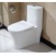 10 Inch Rough In One Piece Elongated Toilet Dual Flush Wall Mounted