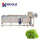 Multifunctional Fruit Vegetable Washing Machine Automatic Belt Conveyor