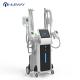 Nubway 4 handles available non-surgery cryolipolysis fat freeze slimming weight loss machine