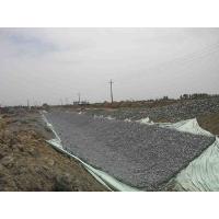 1/2 Hexagonal Wire Mesh Galvanadium Plated Flexible Structure Protective Cage