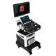 3D 4D 5D Color Doppler Ultrasound Trolley Ultrasound Scanner For OB GYN