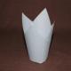 Pure White Color baking tulip cup