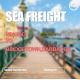 Ningbo To Bridgetown Barbados Sea Freight Forwarding Services Via Kingston