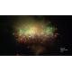 OEM professional Pyrotechnics Fireworks 100 150 300 Shots
