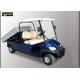 Blue Color Street Legal Golf Utility Vehicles With Curtis 400 A Controller