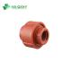 Customized Request Pn16 Red Brown Female Union Pph Water Pipe Plastic Pipe Fitting