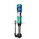 Single Impeller Vertical Submersible Vortex Pump Electric Two Phase Fluid Pump
