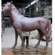 Realistic Bronze Large Animal Garden Sculptures Red Life Size Metal Horse Sculpture