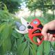 Hot Sale Electric Pruning Shears With Finger Protection Pruner Garden Scissors