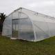 Film Plastic Glass Single Span Greenhouse High Tunnel Gray Steel