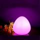Colorful Egg Shape Night Light LED Lamp Wireless With Remote Control