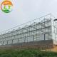 Flower Vegetable Growing High Venlo Tempered Glass Greenhouse with Hydroponic System