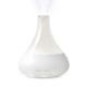 One Fill 10 Hours Home Aroma Diffusers With Night Light 2 Mist Mode