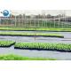 Weed Control Membrane Hot Film Black Weed Mat Plant Nursery Anti Grass Cloth UV Treatment Agricultural Ground Cover