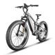 EB6 26*4.0 Snow Tires Electric Bike 250/750/1000w