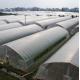 Thickness 0.12mm-0.8mm Plastic Film Greenhouse For Strawberries