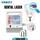 Professional Dental Laser ENT 650nm 980nm Deep Tissue Laser Therapy Machine