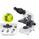BM117PHB siedentopf binocular live blood cell microscopy/ clinical lab science and blood cells microscope