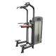 Life fitness gym workout equipment,assist dip chin exercise machine with wooden cases package