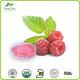 High quality natural raspberry fruit extract powder