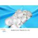 Raw White Bright 40/2 Spun Polyester Yarn For Sewing Thread High Tenacity