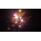 Pyrotechnic 21 Shots Good Effects Outdoor Cake Fireworks For Celebration