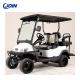 ODM Electric Golf Cart Premium Seats Bicolor 4 Wheel Golf Cart