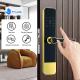 Apartment Light Gold TTLock Digital Door Lock Biometric Intelligent Smart Door Lock