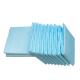 Blue Color SAP Disposable Incontinence Bed Pads 60*60cm Incontinence Underpads