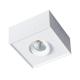 8w IP44 Rate Aluminum Color Square Led Surface Mounted Downlight
