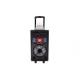 Remote Control Portable Trolley Speaker Power Bank Speaker With Handle