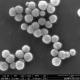Super Strong Magnetism Silica Magnetic Beads 500nm 10 mg / mL 50 mL