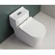 S Trap One Piece Chair Height Toilet Dual Flush Mix Pit Spacing 220mm