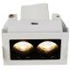 Recessed double multi spot luminaire  with 2x2.1watt led lamp equipped dimmable led driver