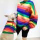 Long Sleeve Rainbow Striped Matching Sweaters Dog And Owner Comfortable