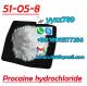 Procaine hydrochloride CAS 51-05-8 Cetain BMK/PMK