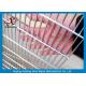 Anti Climb Powder Coated Galvanized Security Fencing Jail Fence