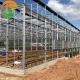 Hydroponic Agriculture Glass Greenhouse with Top Ventilation Side Ventilation System