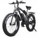 48V 1000W Motor Fat Tyre Electric Bicycles with 48V 17Ah Battery and Blue Screen Display