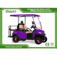 Fuel Type Electric Golf Car 350AH 3.7W Aluminium Electric Hunting Carts Framework Purple