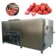 Customized Pharmaceutical Dryers With Electricity Heating Source