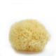 1 Piece Irregular Child's Sponge Made of Pure Natural Materials for Marke For Size Is 8*8*4.2 cm and Weight is 10 Gram